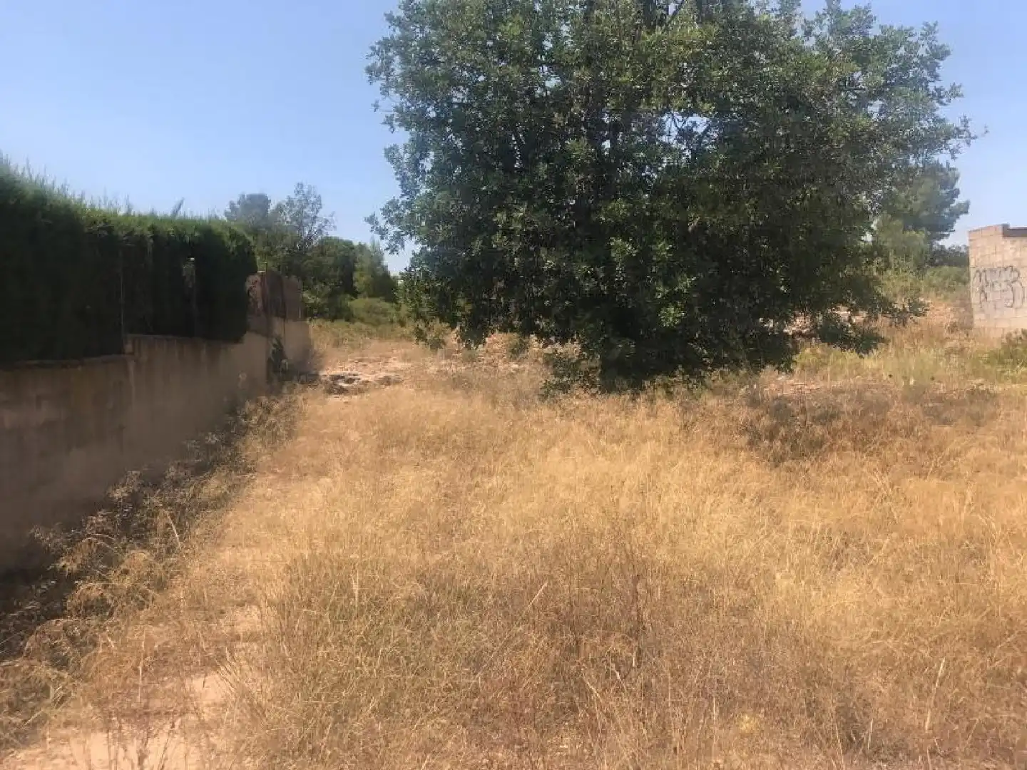 Lands and plots for sale in Pla dels Aljubs, imagen 8