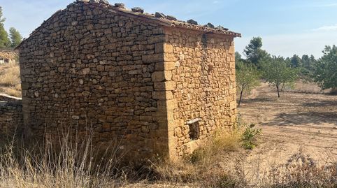 Finca con pozo productivo y maset en Valjunquera, immagine 2