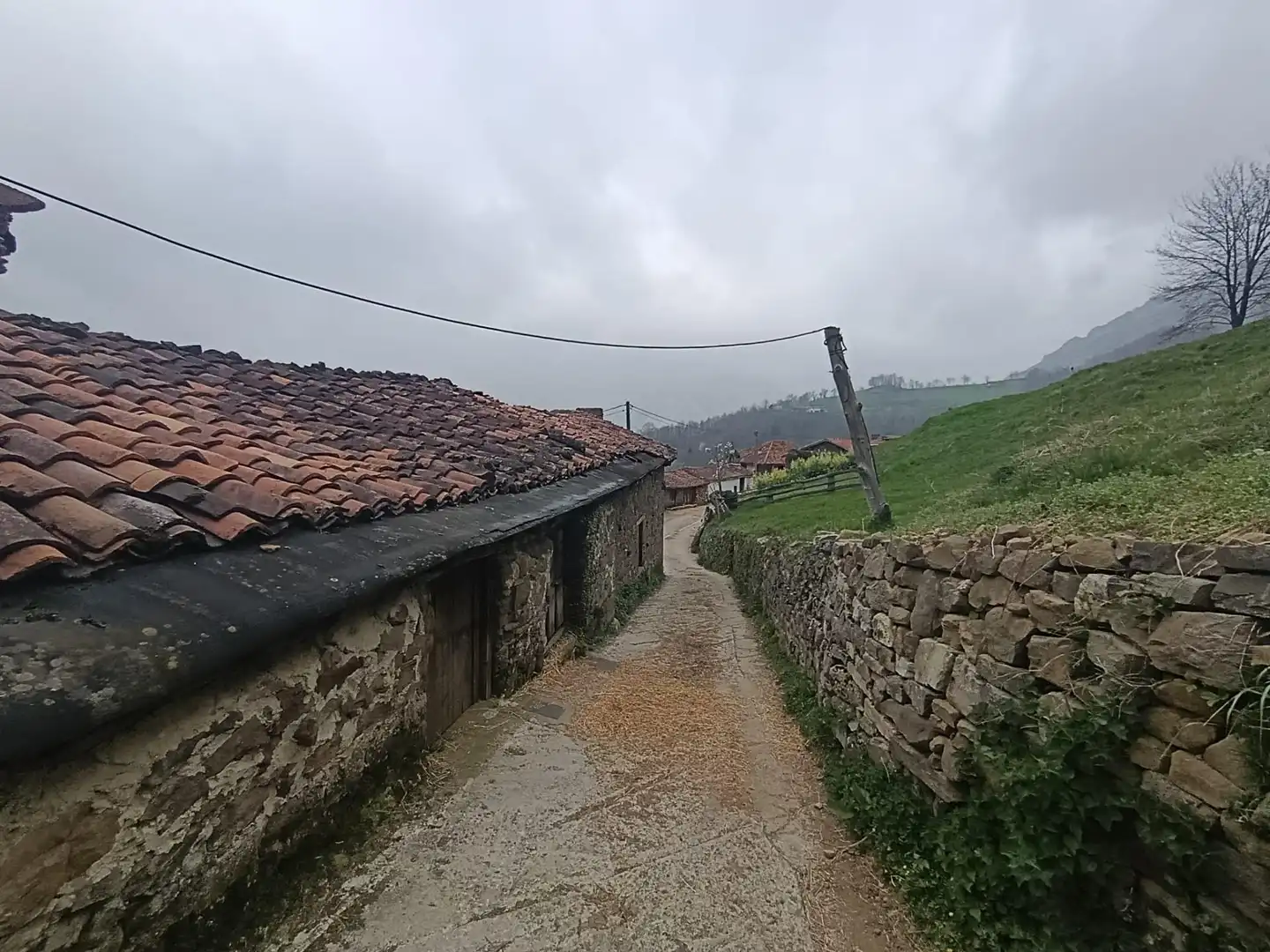 Vista exterior de Finca rústica en venta en Caso