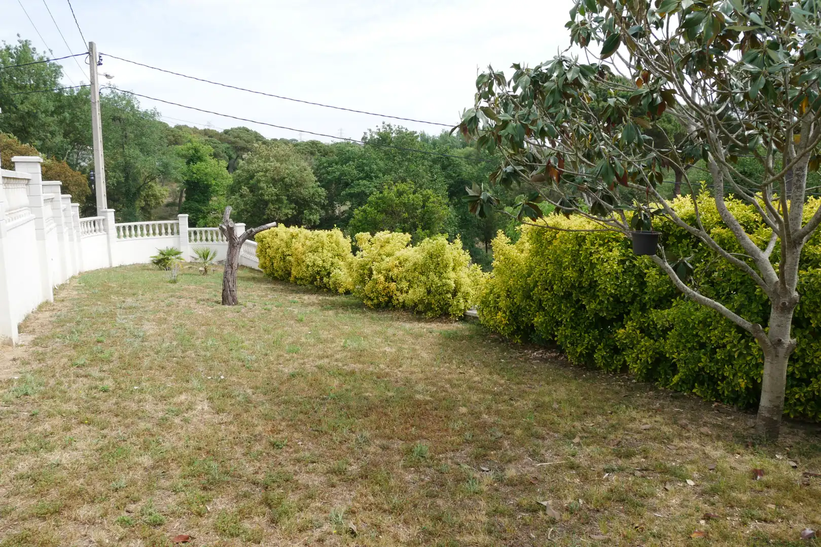 Jardí de Casa o xalet en venda en Maçanet de la Selva amb Calefacció, Jardí privat i Piscina