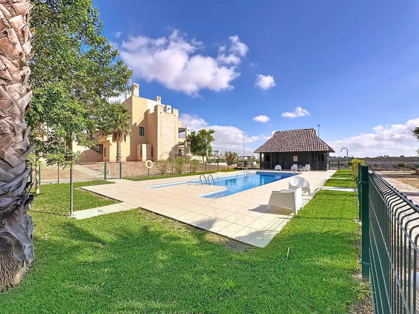 Swimming pool of Ground floor for sale in Fuente Álamo de Murcia