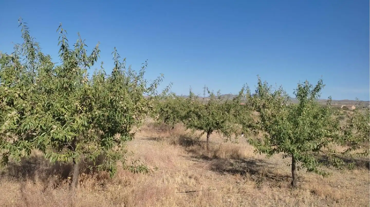 Terrenos y solares en venta en Huércal-Overa, imagen 2
