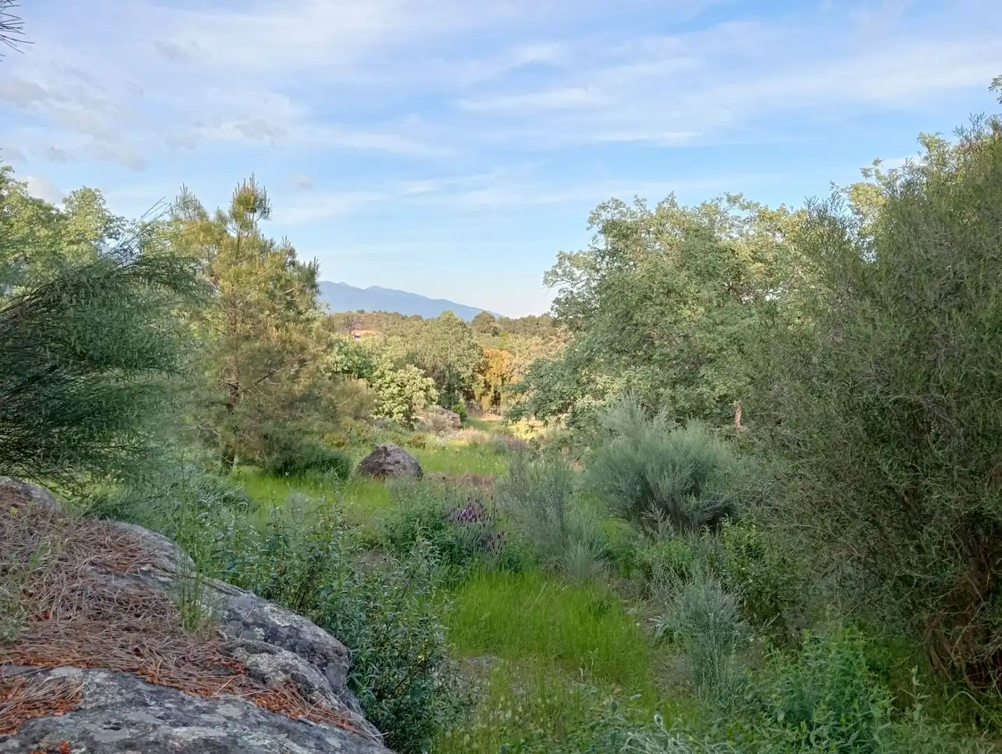Terreno en venta en Villanueva de la Vera