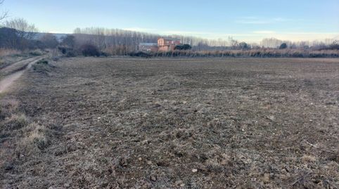 Photo 3 of Land for sale in Villamuriel de Cerrato, Villamuriel de Cerrato, Palencia