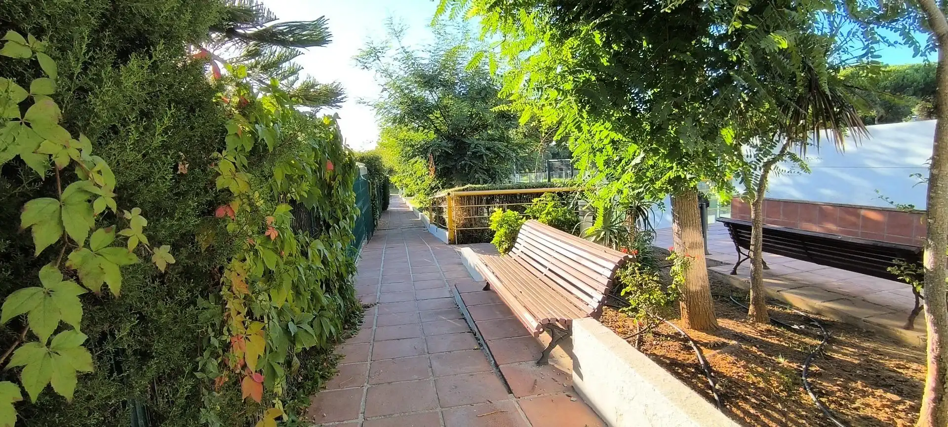 Adossat amb terrassa en venda a PEDRO DE ALVARADO, imagen 29