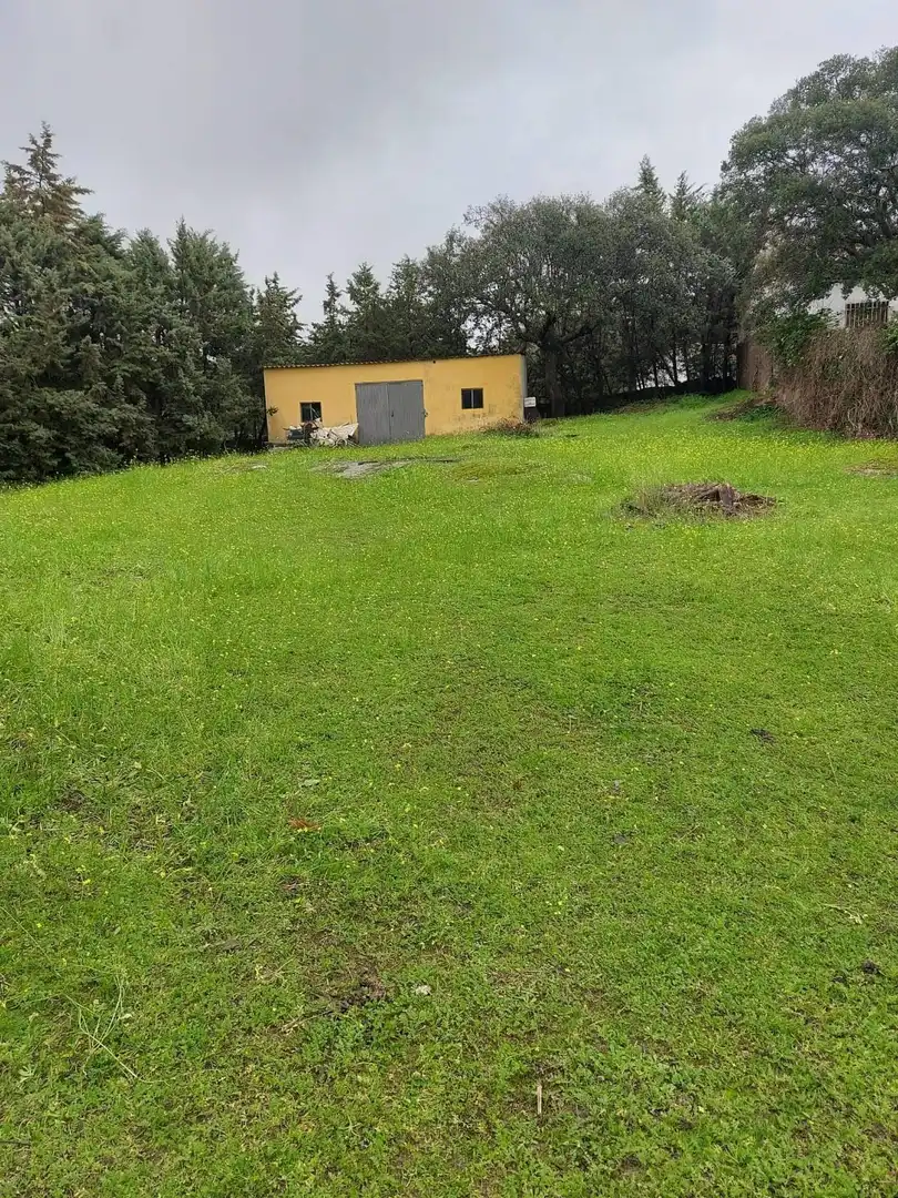 Chalet con piscina en venta en Aldea del Cano, imagen 37