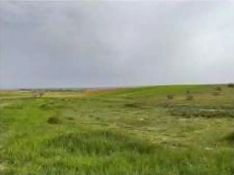Rural land for sale in El Viso de San Juan, imagen 3