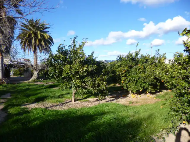 Garden of Houses for sale in Tortosa  with Heating and Terrace