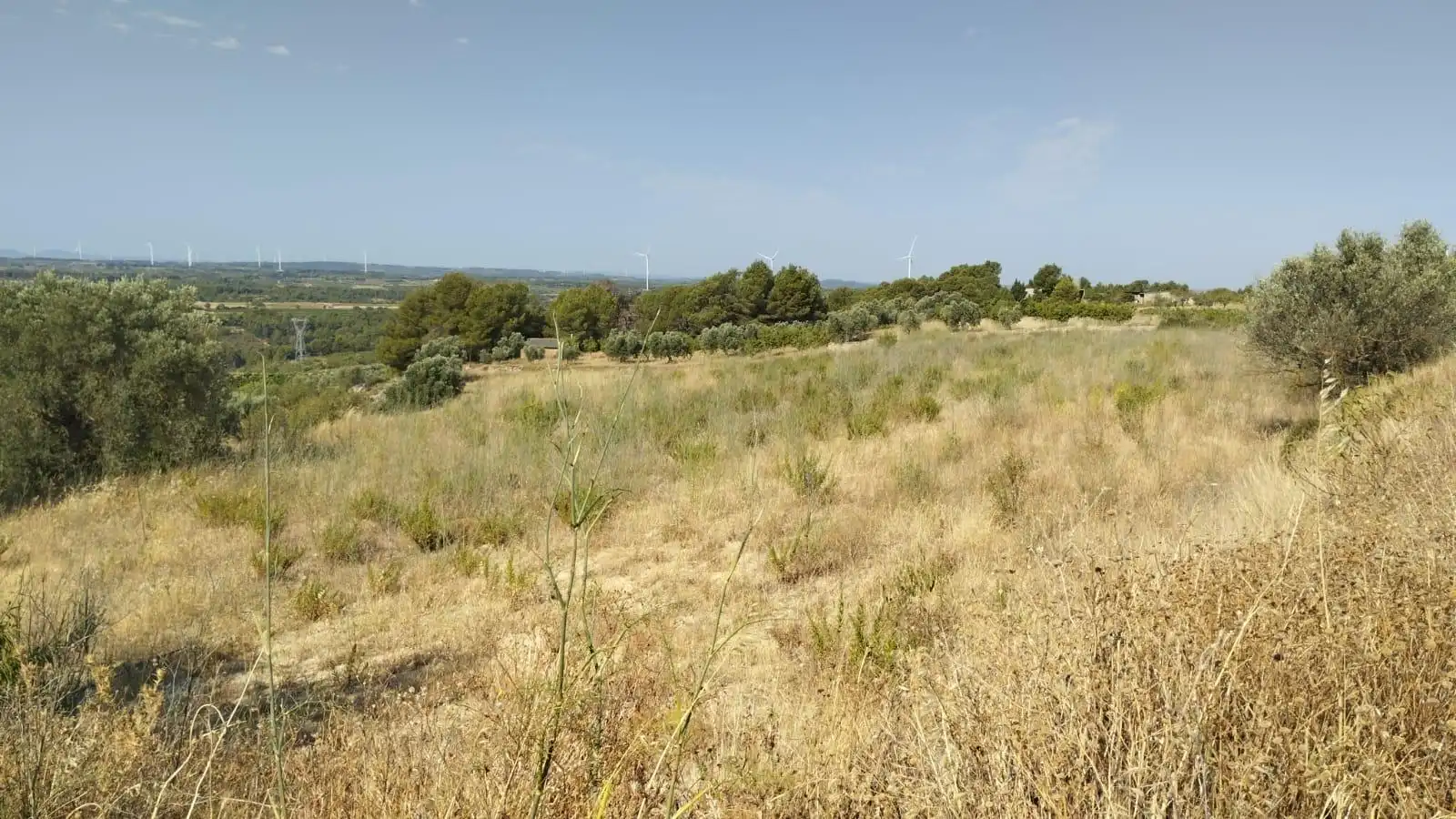 Terreno rústico en venta en Vilalba dels Arcs, imagen 16