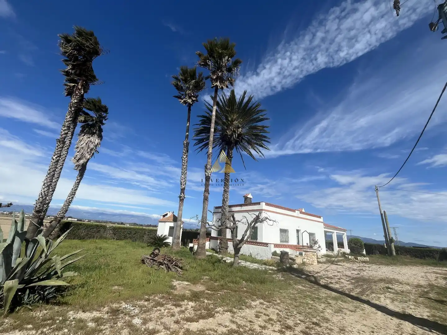 Detached house for sale in Eucaliptus- Poble Nou del Delta, imagen 4
