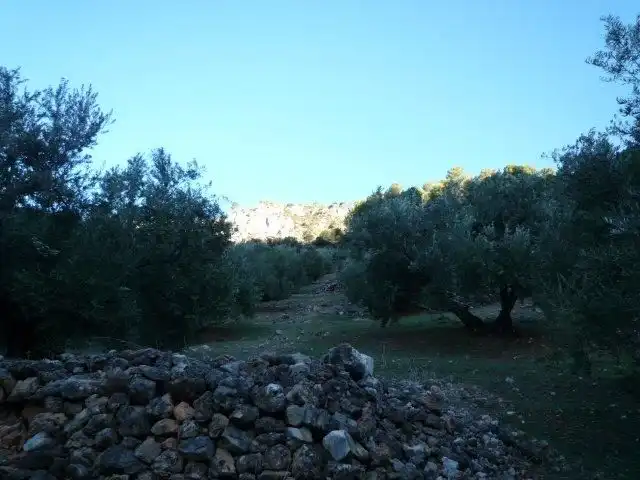 Terreni e lotti in vendita a Calle Tejares, imagen 3