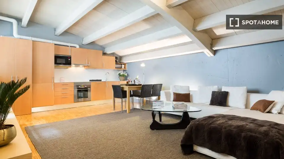 Sala d'estar de Apartament per a compartir en Barcelona amb Aire condicionat, Terrassa i Moblat