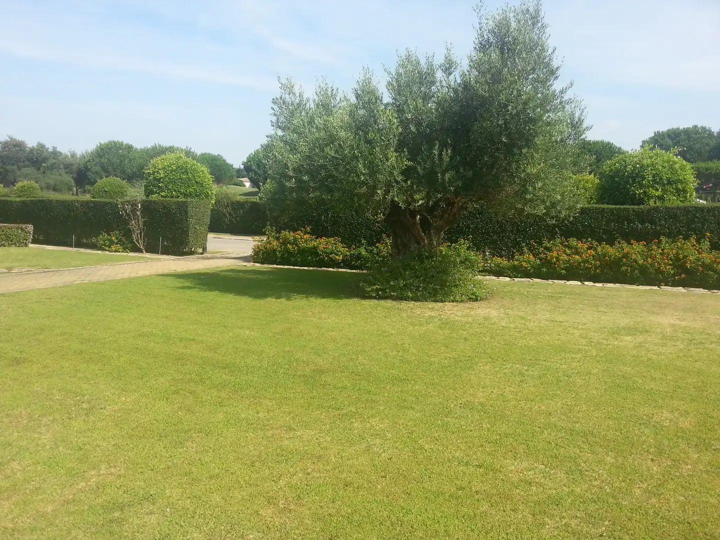 Flat with lift for sale in Urbanización San Roque Club, imagen 23