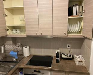 Kitchen of Flat to rent in  Madrid Capital  with Air Conditioner, Furnished and Pets allowed