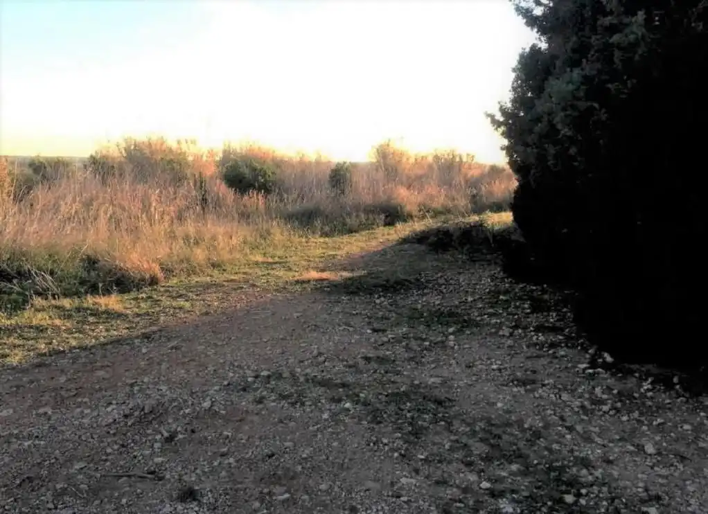 Industrial land for sale in Torreblanca, imagen 4