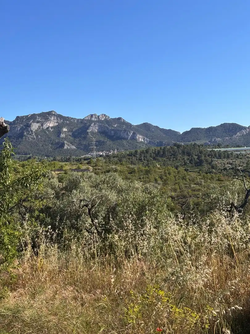 Rural land for sale in Tivissa, imagen 8