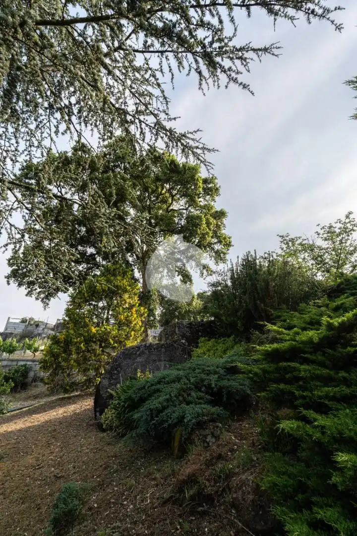 Jardín de Casa o chalet en venta en Barbadás con Calefacción, Jardín privado y Balcón