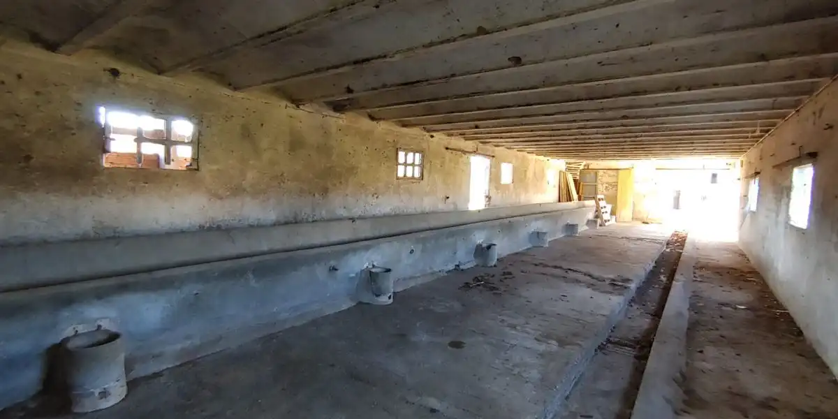 Casa en venta en Sant Gregori, imagen 5