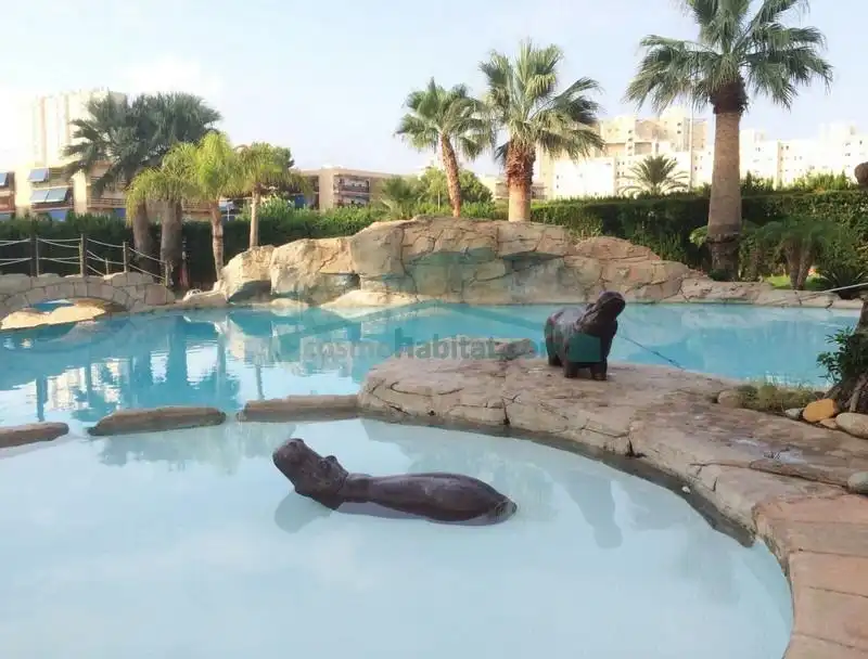 Swimming pool of Apartments for sale in El Campello  with Air Conditioner, Private garden and Terrace