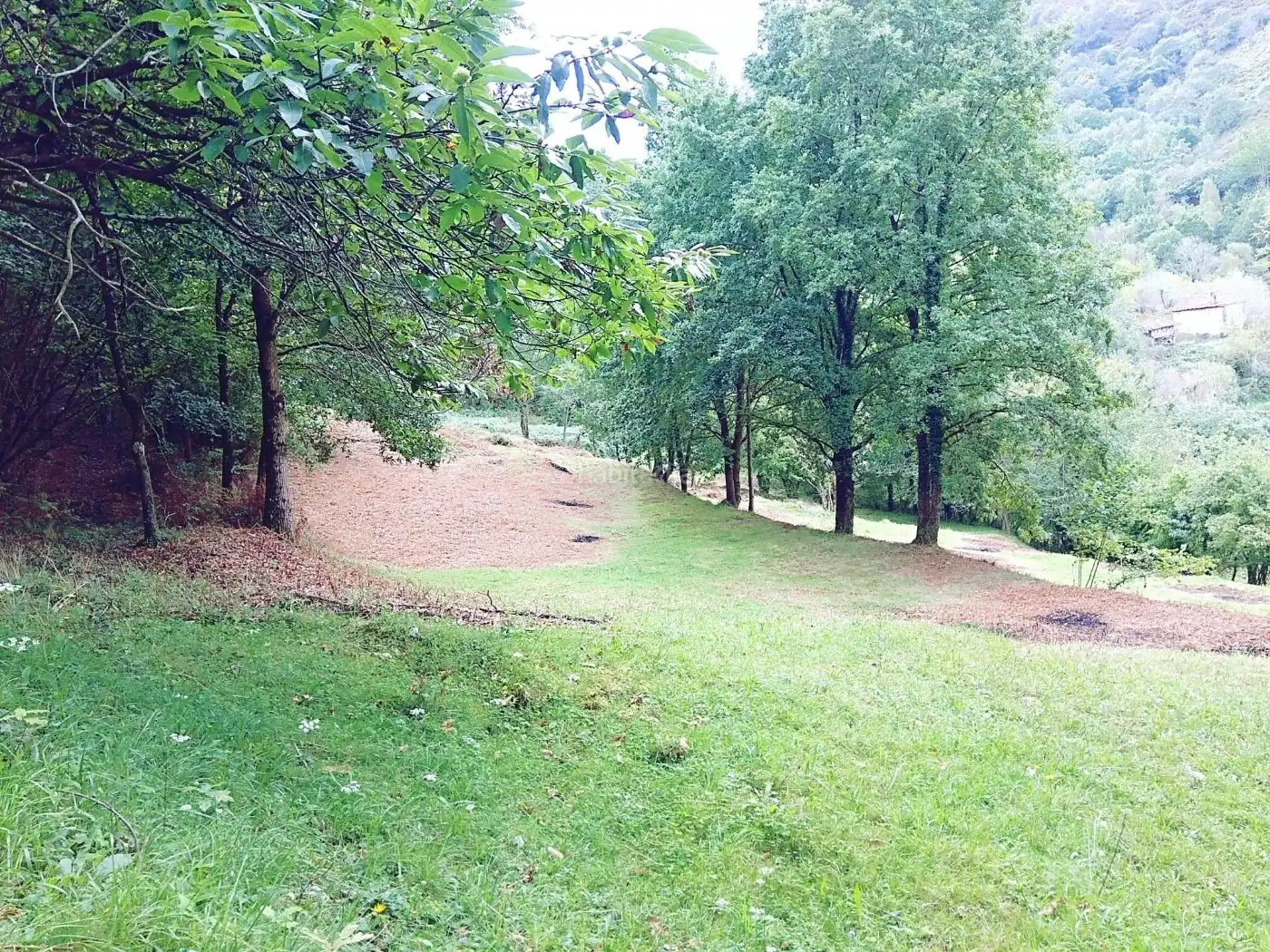 Wohnbaugrundstück zum Verkauf in Caserio Cavielles 7, imagen 5