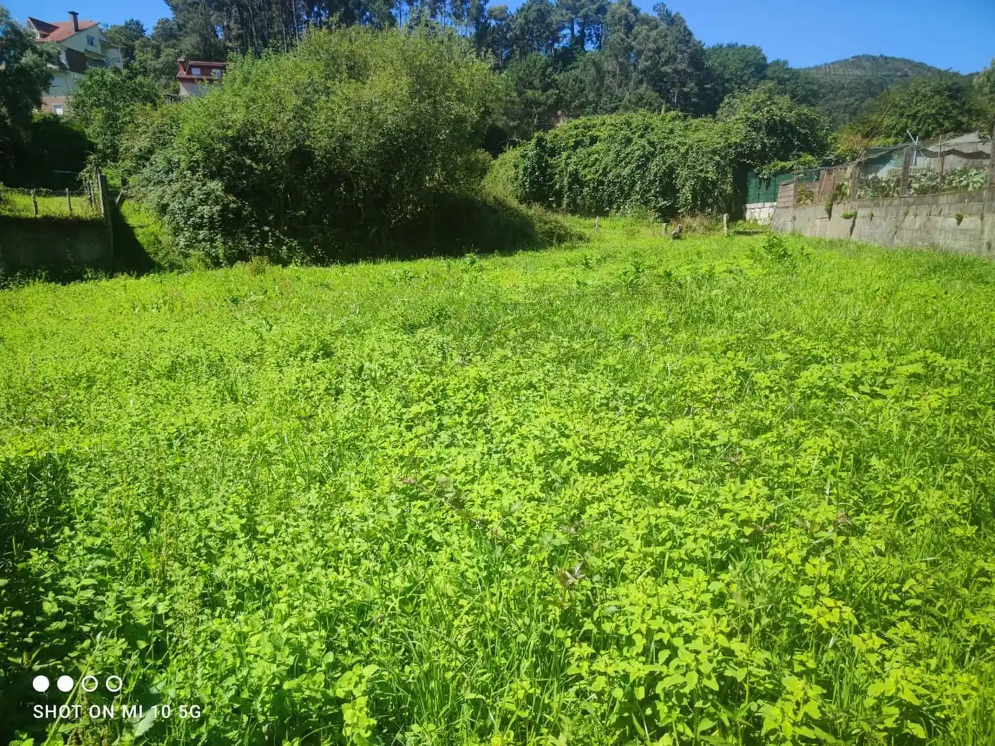 Terrain rustique à vendre à Valadares - Beade, imagen 4