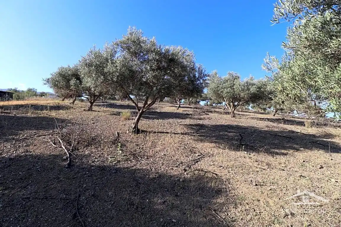Terreni e lotti in vendita a Coín, imagen 3