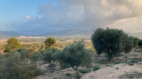 Photo 3 of Country house for sale in Carretera Biar, San Francisco, Alicante