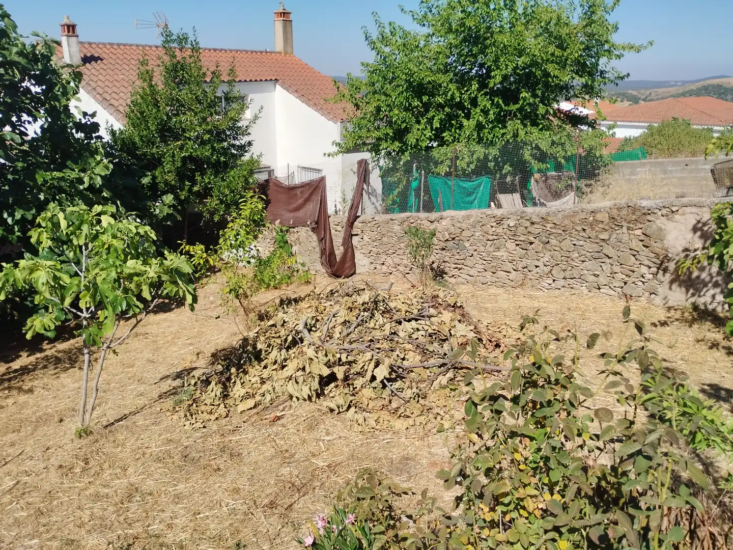 Haus mit Garten zum Verkauf in Jerez de los Caballeros, imagen 23