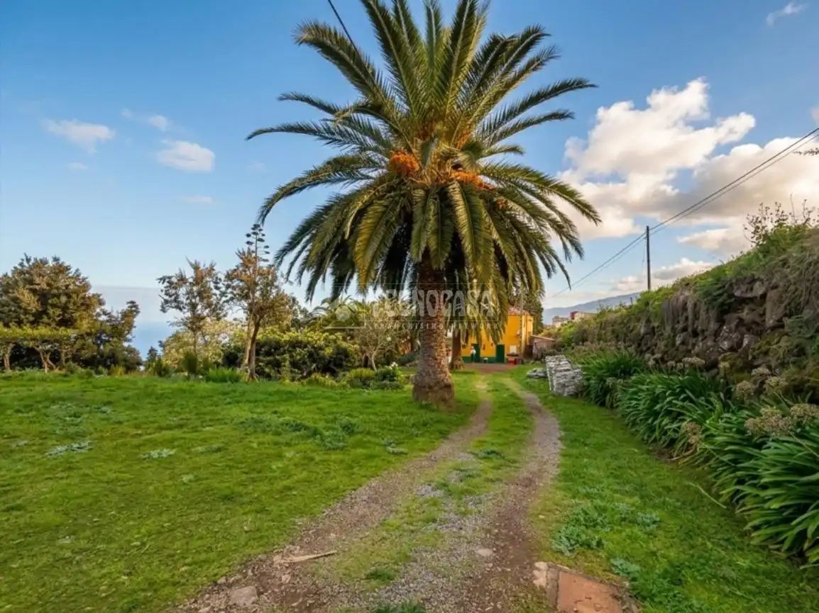 Finca rústica en venta en Palo Blanco