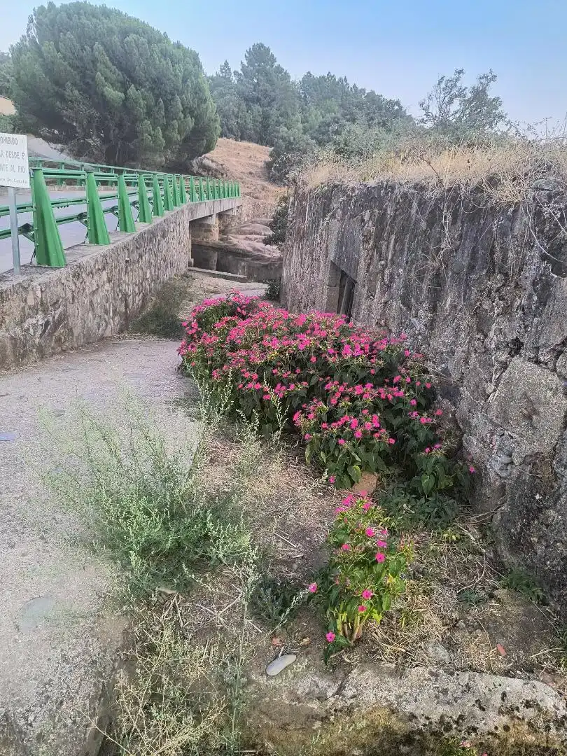 Jardí de Casa adosada en venda en Cadalso amb Traster, Moblat i Forn