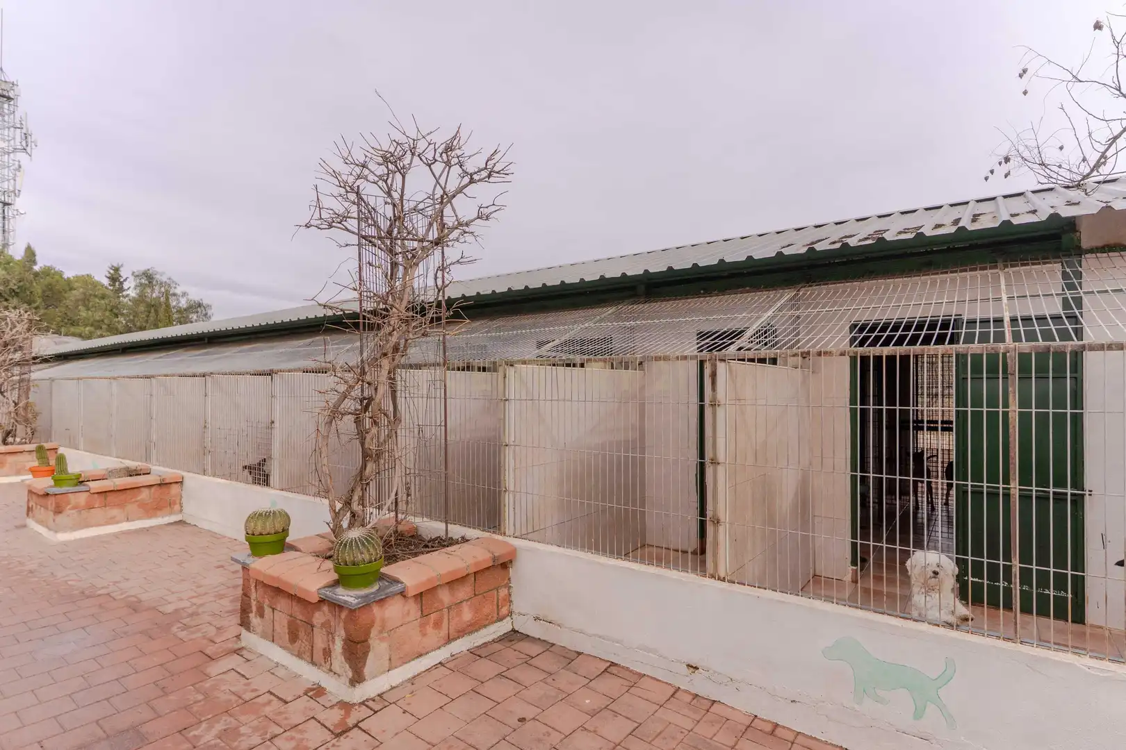 Vista exterior de Casa o chalet en venta en Dúrcal con Jardín privado