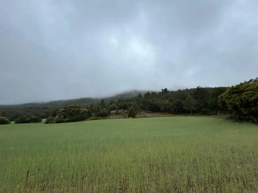 Country homes for sale in El Toro