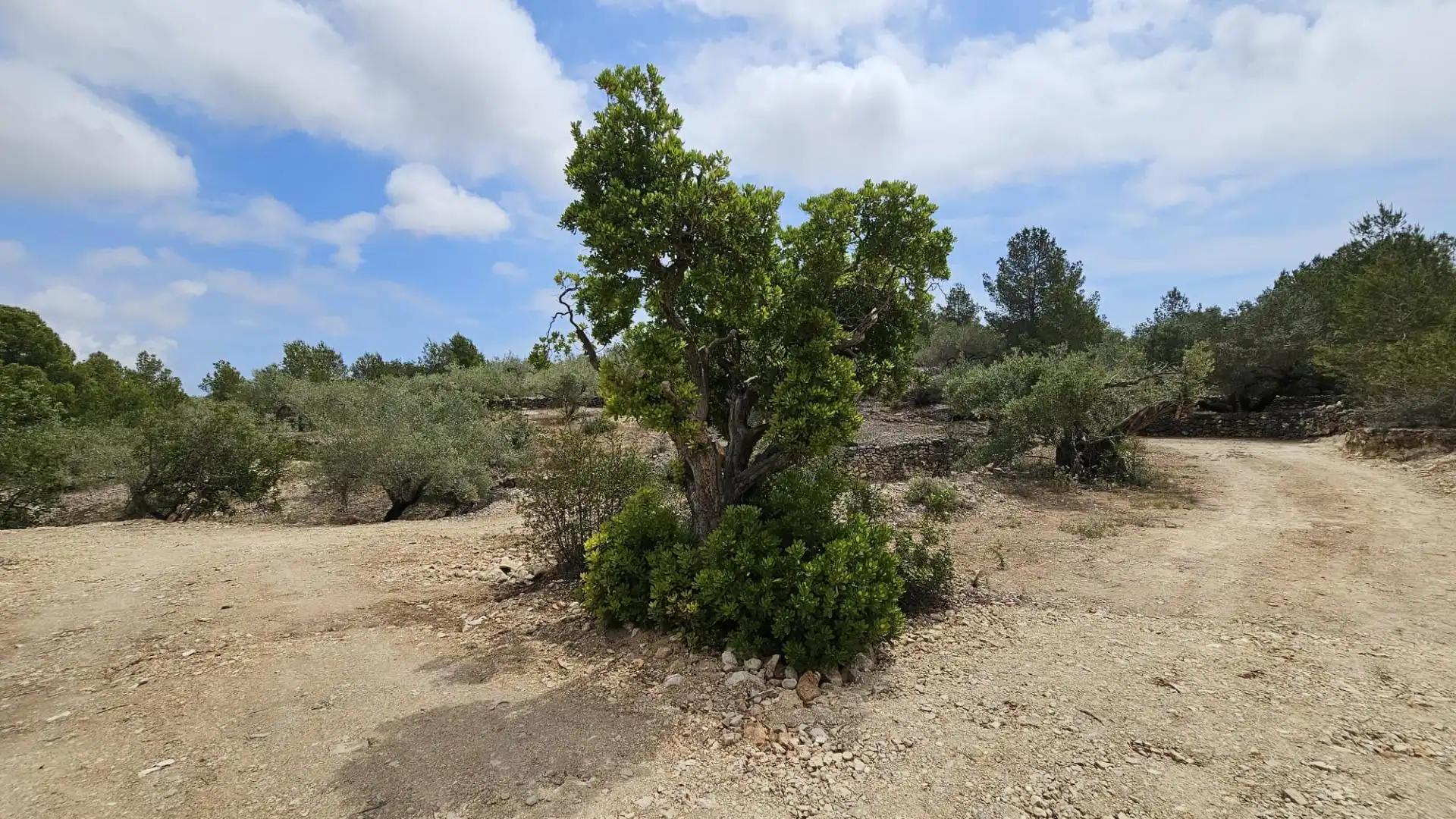 Casa rustica in vendita a L'Ametlla de Mar pueblo, imagen 3