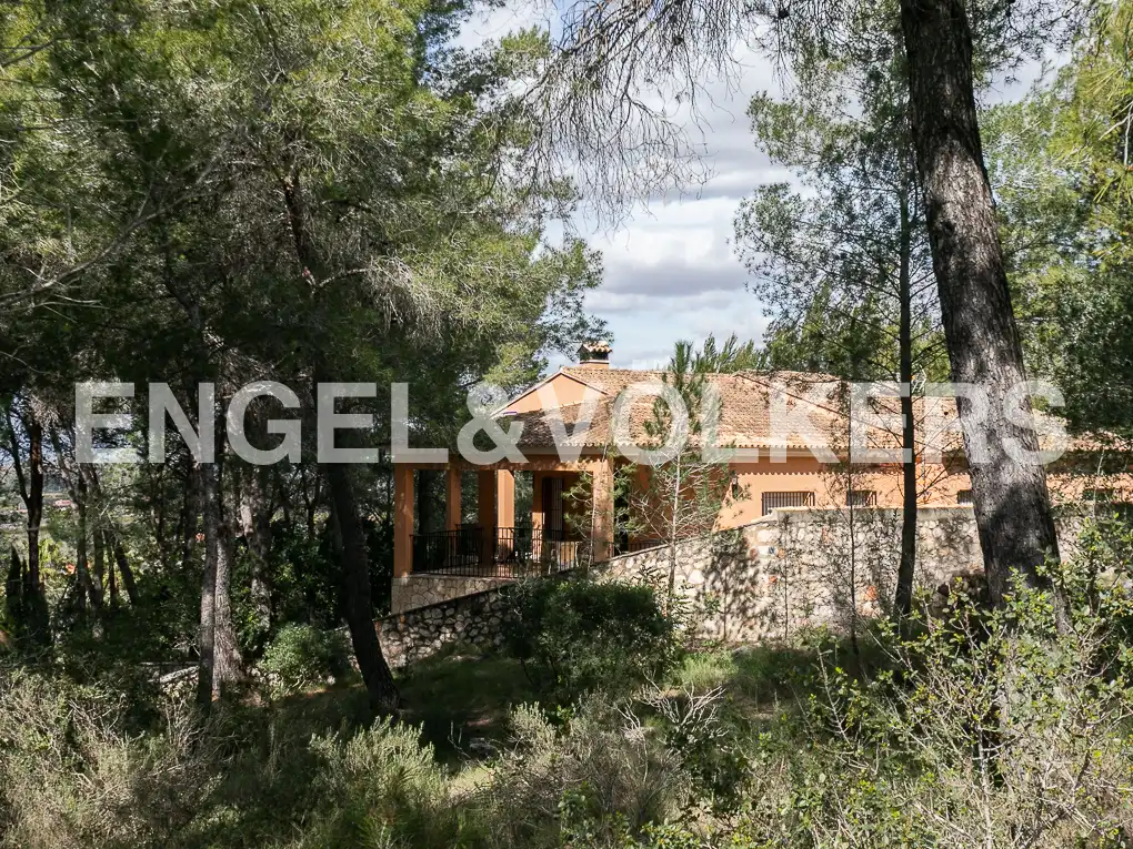 Vista exterior de Casa o xalet en venda en Carcaixent amb Calefacció, Jardí privat i Terrassa