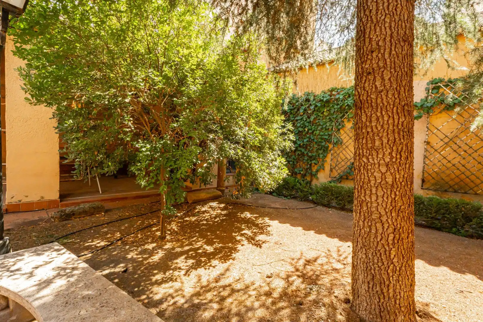 Jardí de Casa o xalet en venda en Valdepeñas amb Calefacció i Piscina comunitària