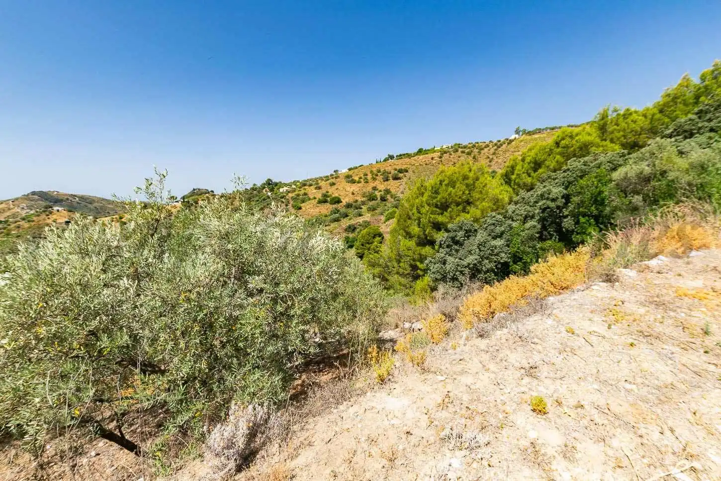 Terreny rústic en venda a Canillas de Albaida