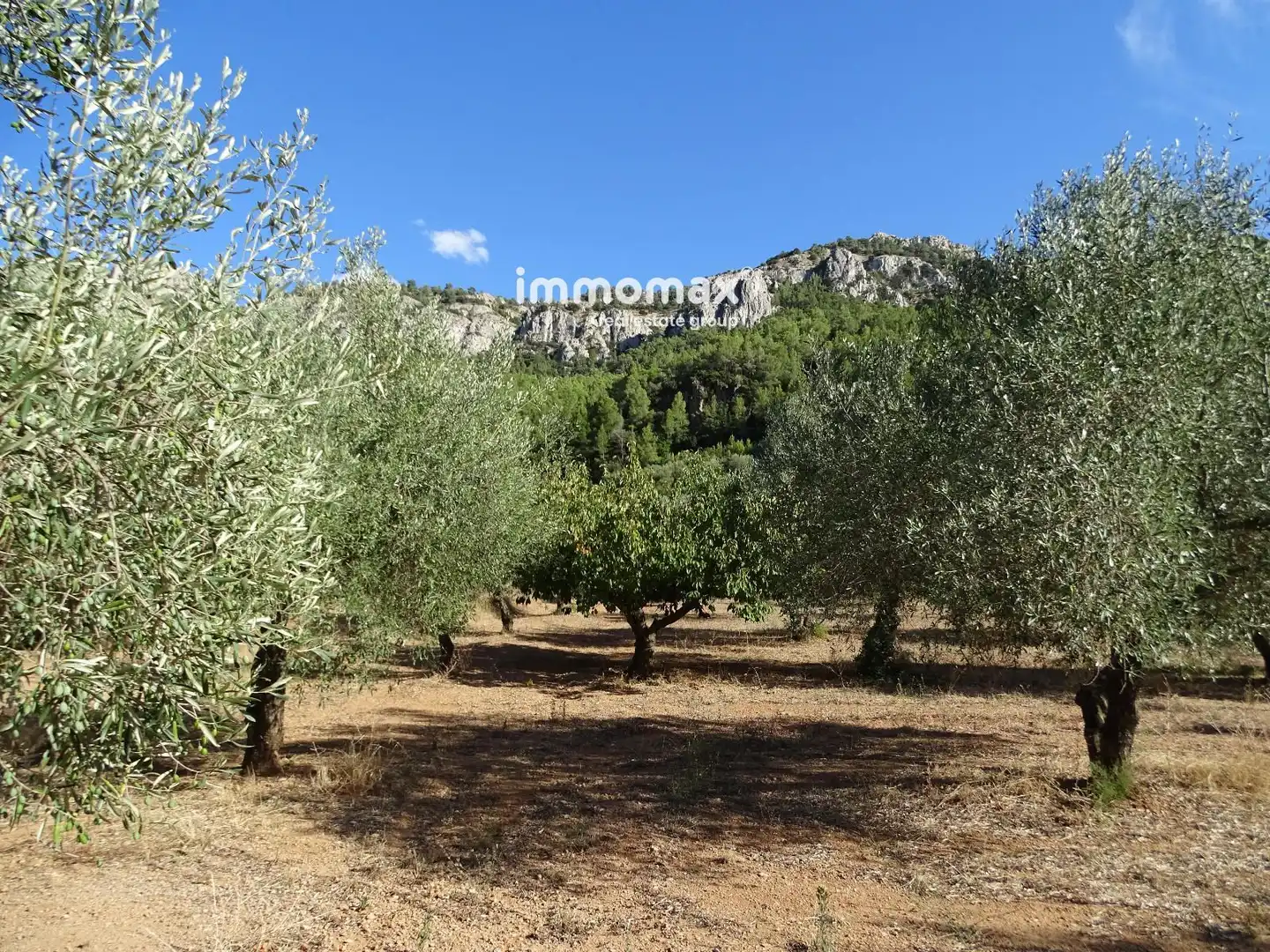 Terreno en venta en Paüls