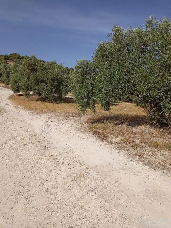 Terrain rustique à vendre à Paraje El Barrancón, Pol.101, Par.183, 66, imagen 2