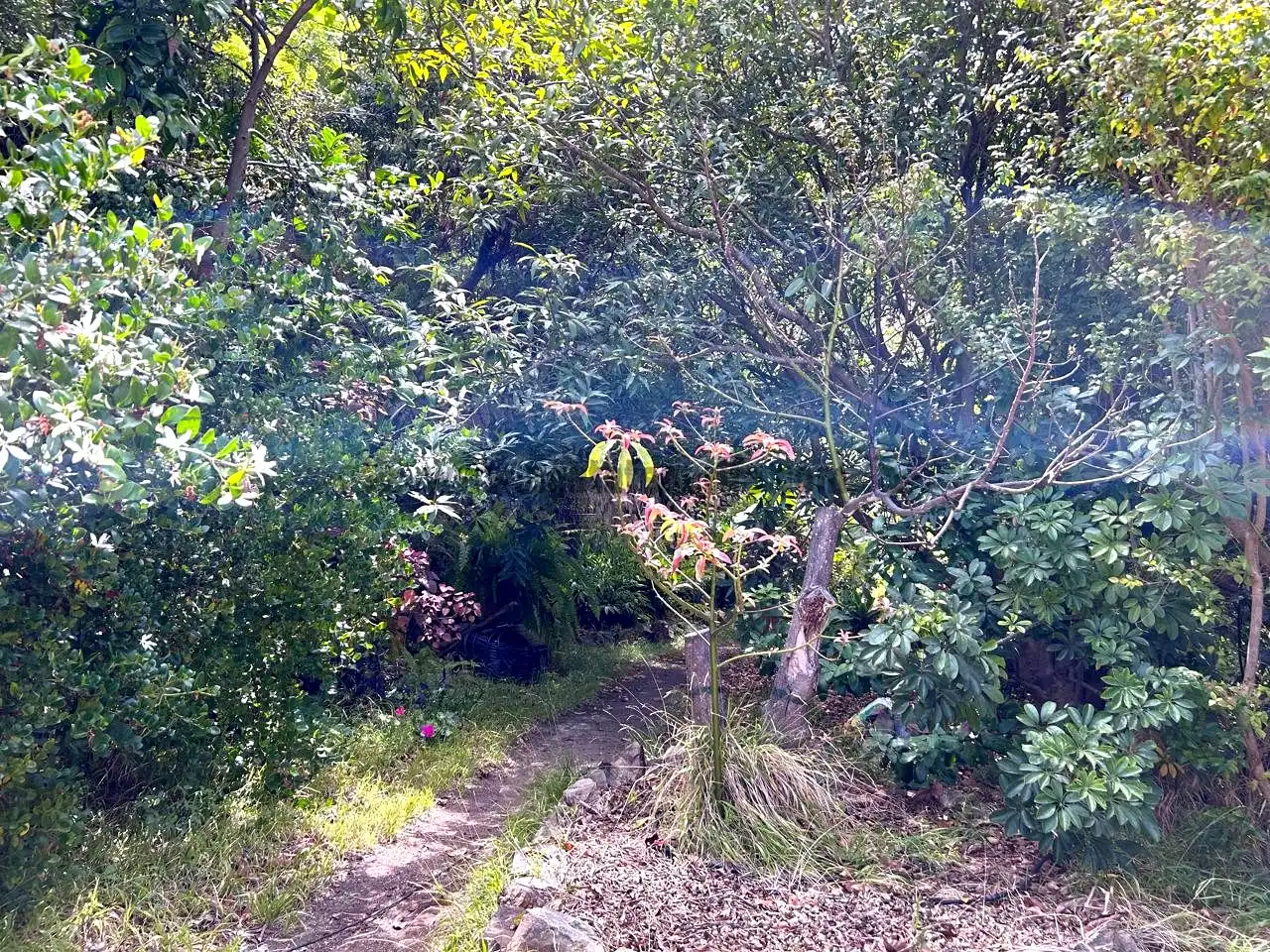 Finca rústica en venta en Vallehermoso con Aire acondicionado, Calefacción y Jardín privado