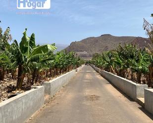 Vista exterior de Finca rústica en venda en Arona amb Jardí privat, Terrassa i Traster