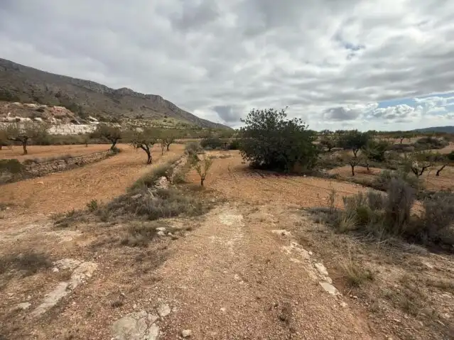 Terreny residencial en venda a La Romana, imagen 12