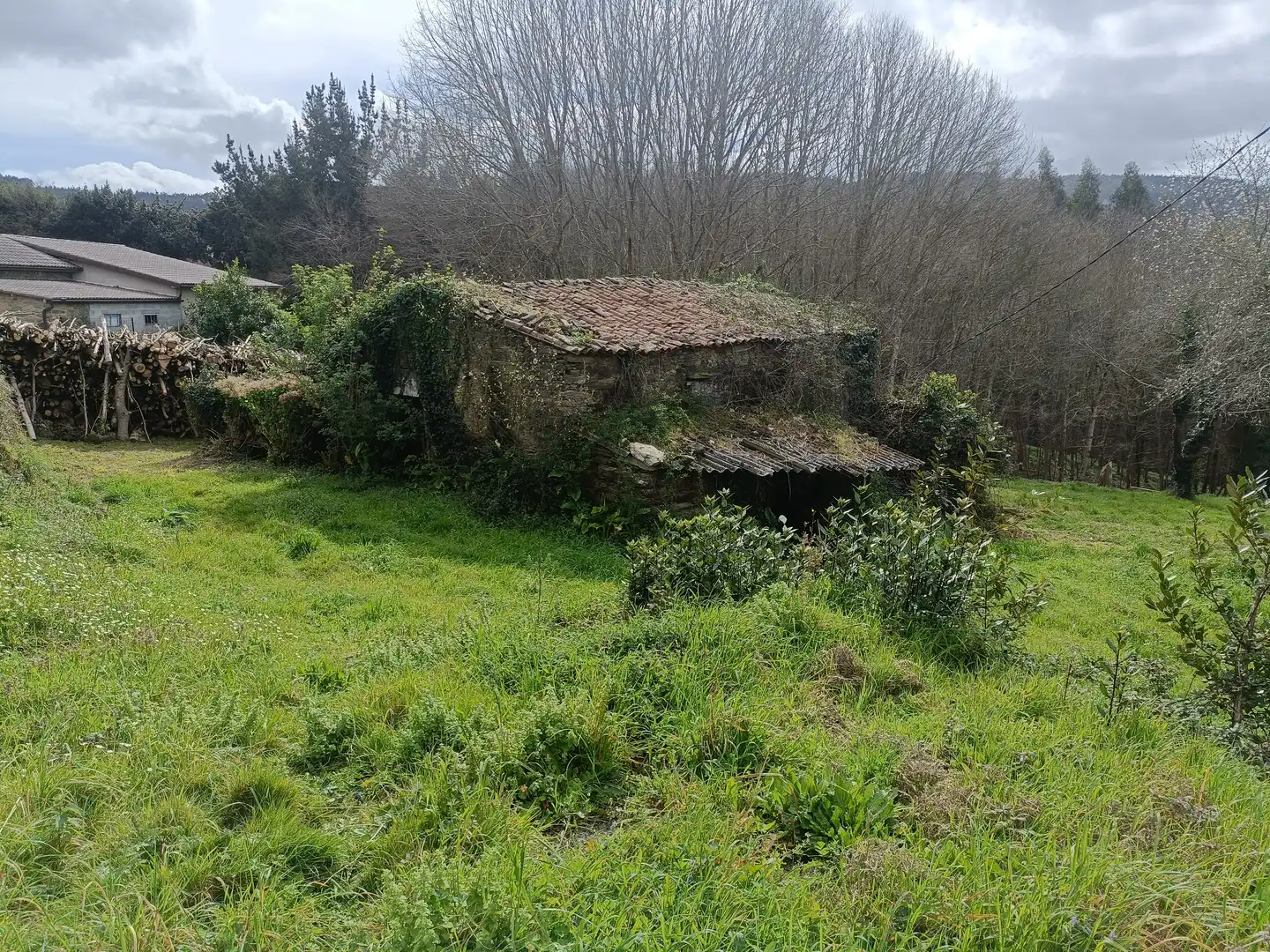 Maison avec jardin à vendre à Lugar Castelo, imagen 9