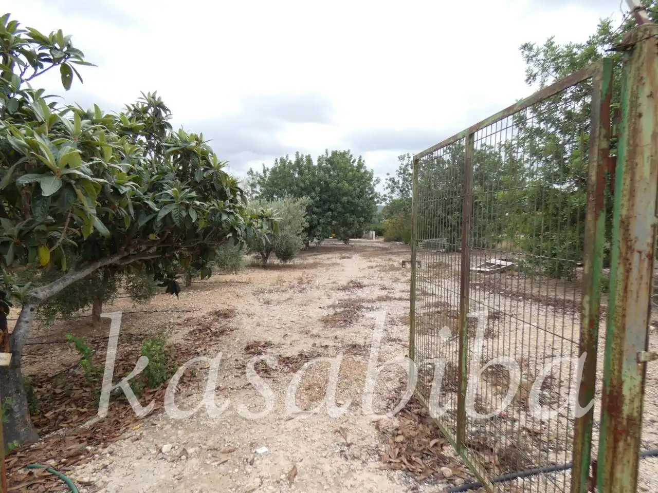 Grundstücke zum Verkauf in Pedralba