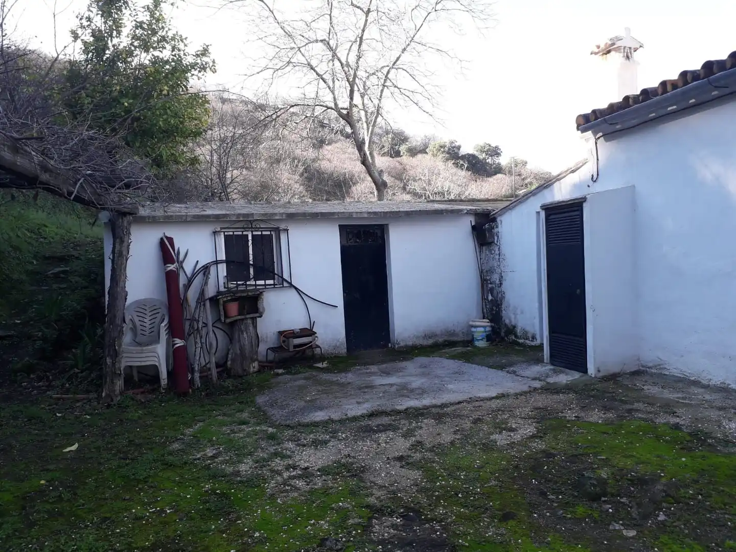Jardín de Casa o chalet en venta en Jubrique
