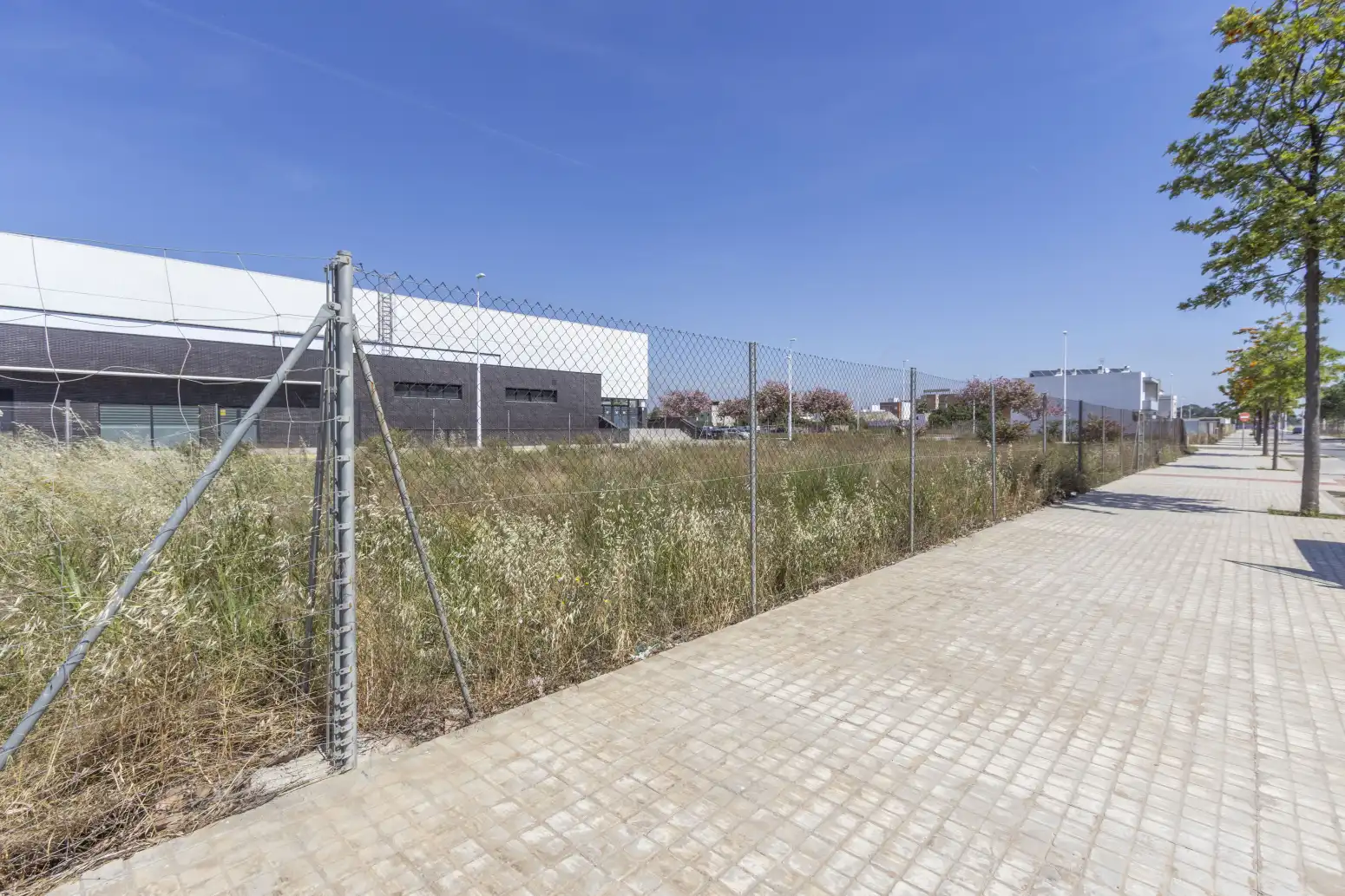 Terreno rustico in vendita a Puerto de Sagunto, imagen 2