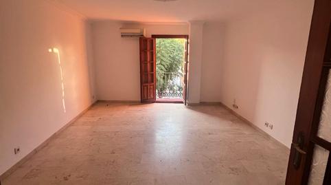 Foto 4 de Pis de lloguer a Centro, Sevilla