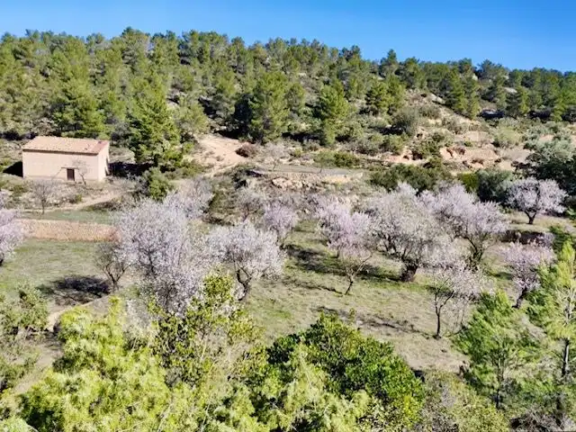 Terrenos y solares en venta en Valjunquera, imagen 5