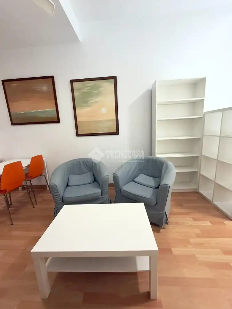 Sala de estar de Estudio de alquiler en Madrid