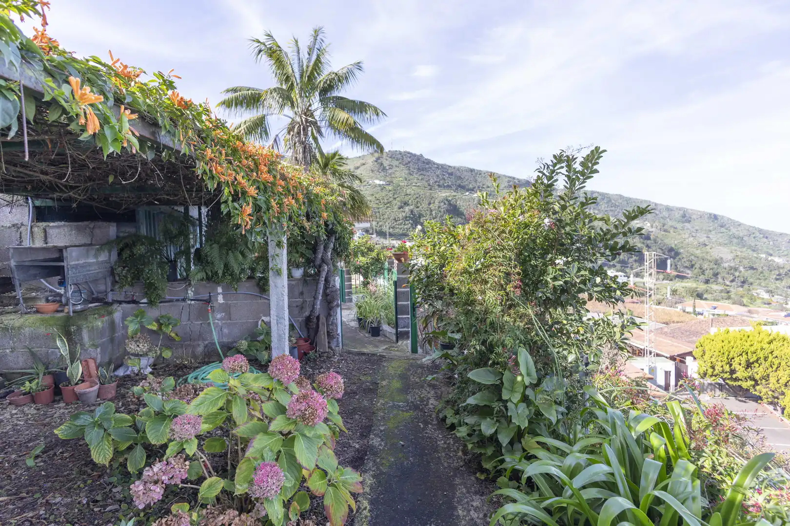 Casa o chalet en venta en Icod de los Vinos pueblo