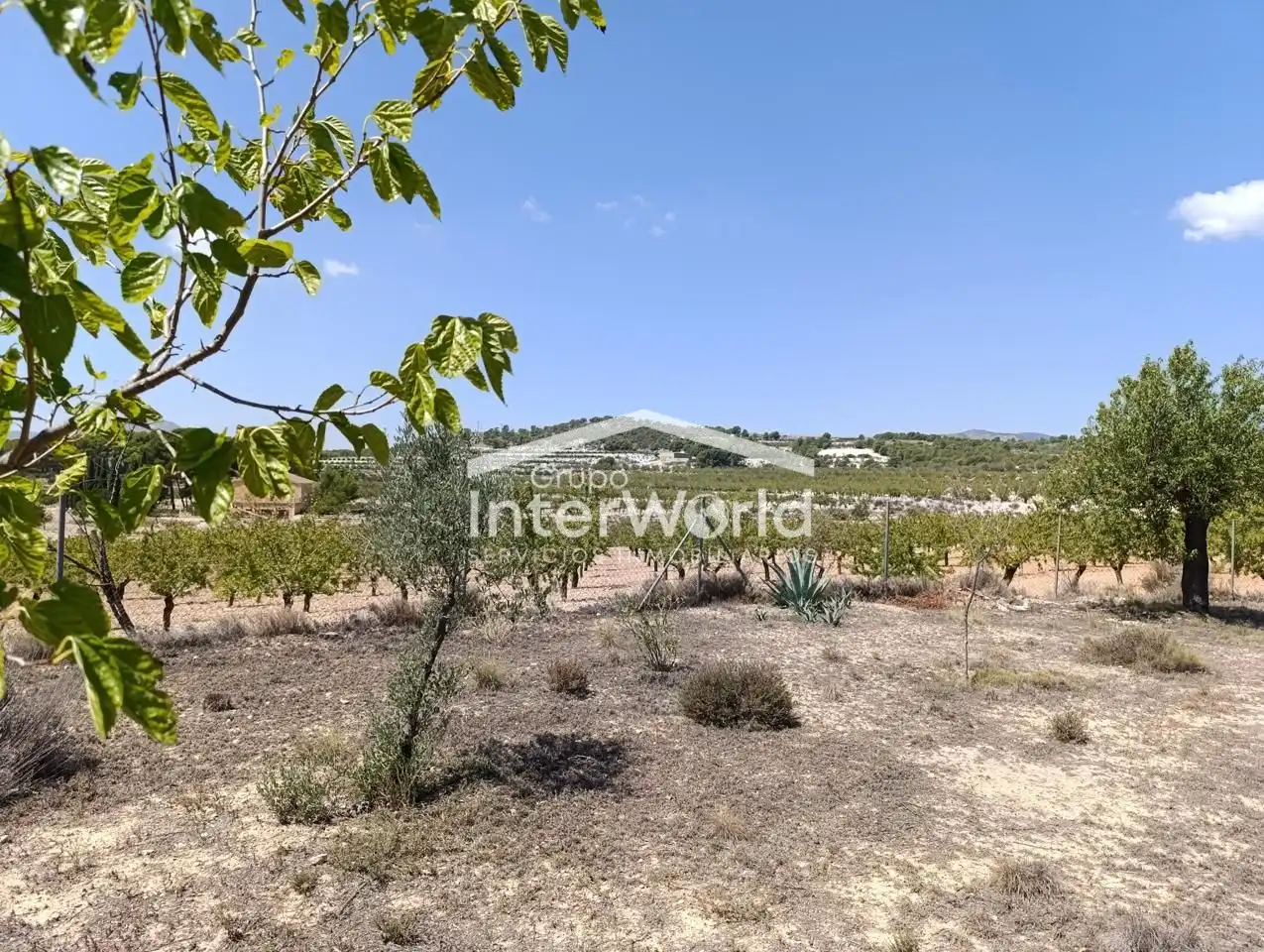 Country homes for sale in Ibi